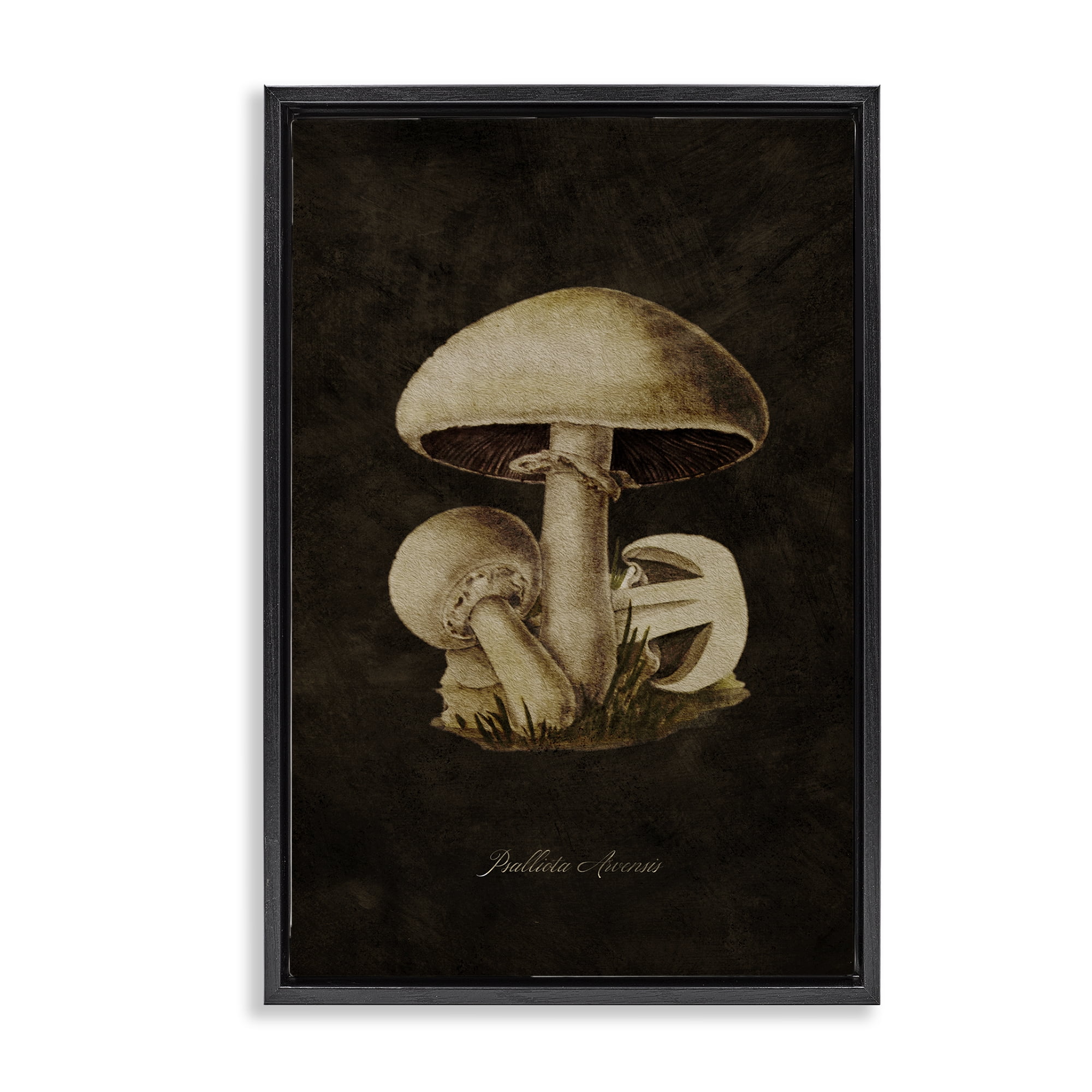 Stupell Industries Portobello Mushroom Study Plants & Flowers Painting Black Floater Framed Canvas Art Print Wall Art, 17 x 25