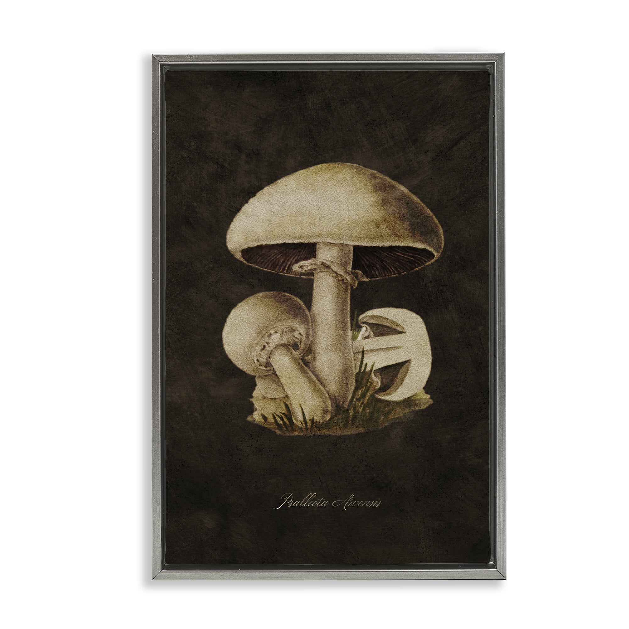 Stupell Industries Portobello Mushroom Study Plants & Flowers Painting Gray Floater Framed Canvas Art Print Wall Art, 17 x 25