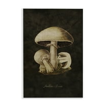 Stupell Industries Portobello Mushroom Study Plants & Flowers Painting Unframed Art Print Wall Art, 10 x 15
