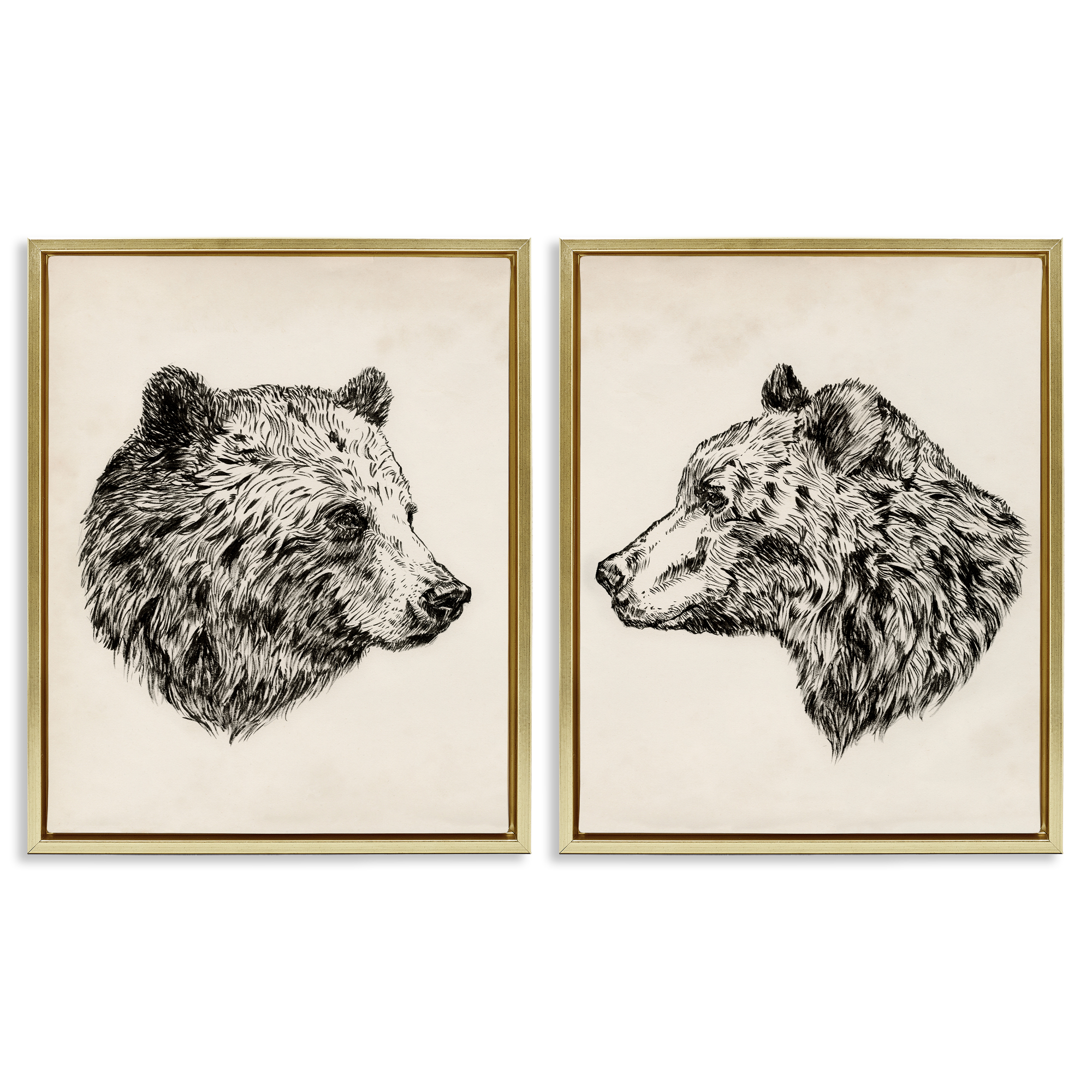 Stupell Industries Portrait Brown Bear Animal Animals Drawing Gold Floater Framed Canvas Art Print Wall Art, 31 x 25, Set of 2