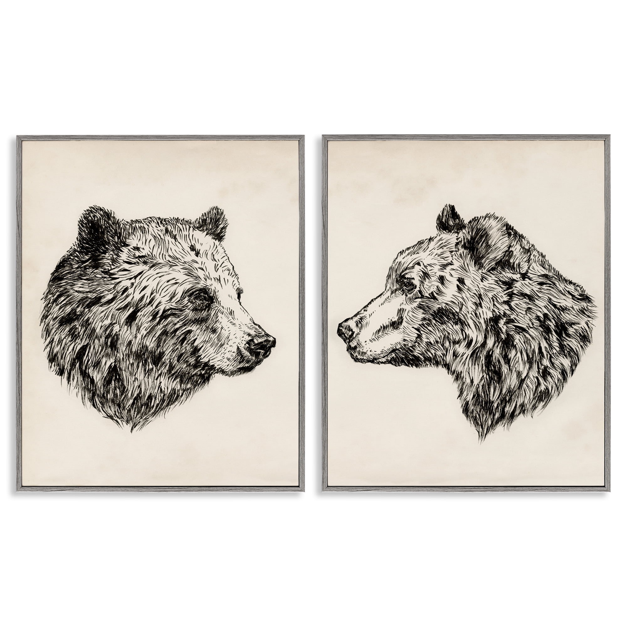 Stupell Industries Portrait Brown Bear Animal Animals Drawing Gray Framed Art Print Wall Art, 16 x 20, Set of 2