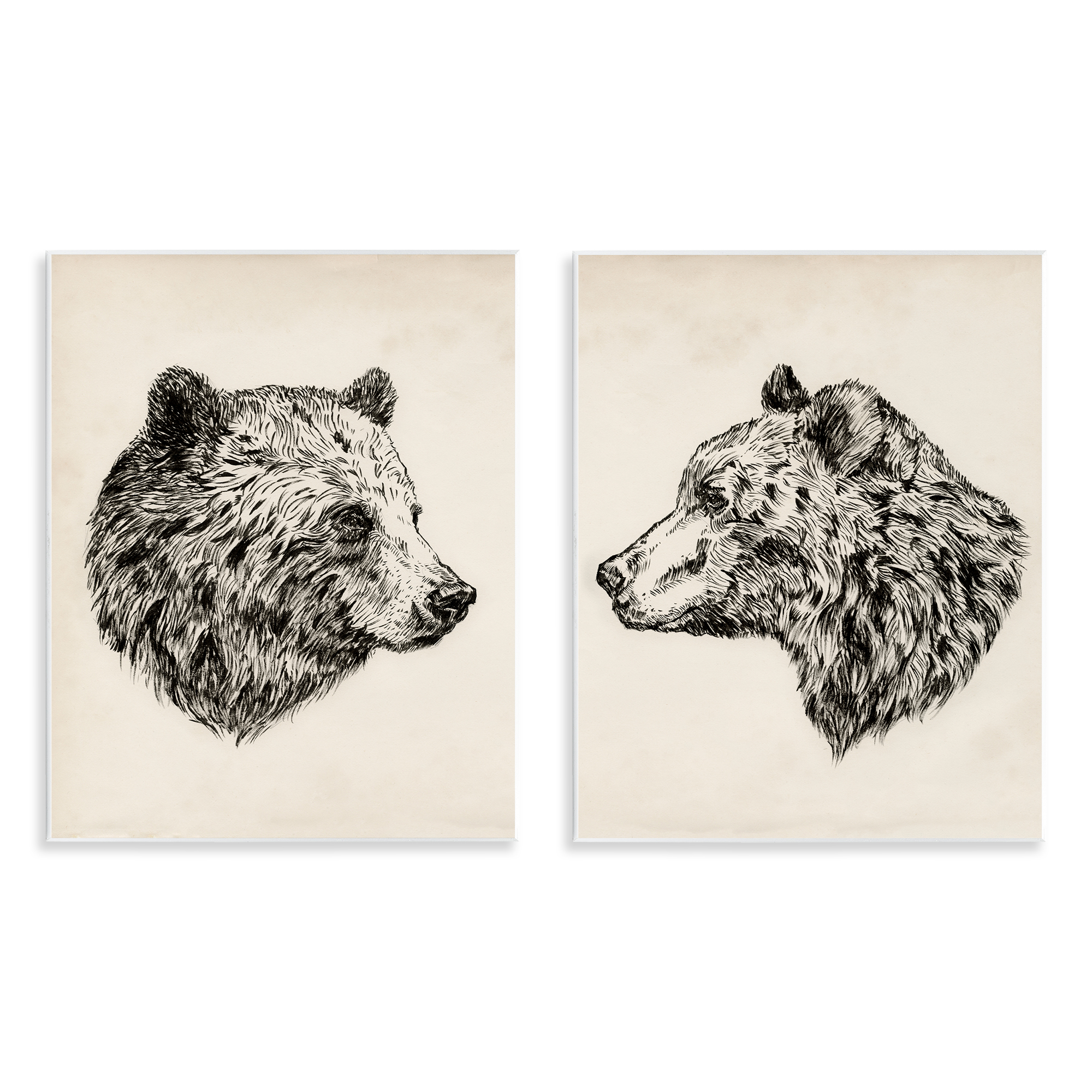 Stupell Industries Portrait Brown Bear Animal Animals Drawing Unframed Art Print Wall Art, 11 x 14, Set of 2
