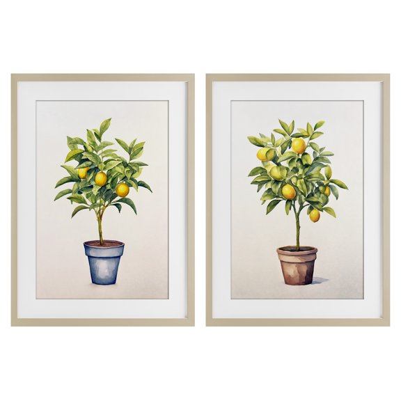 Stupell Industries Potted Citrus Serenade 2 Piece Birch Framed Print Under Glass Set design by Andrea Haase, 23 x 17