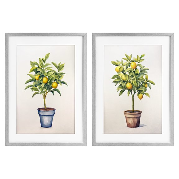 Stupell Industries Potted Citrus Serenade 2 Piece Gray Framed Print Under Glass Set design by Andrea Haase, 20 x 14