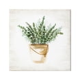 thumbnail image 1 of Stupell Industries Potted Eucalyptus Herb Botanical & Floral Painting Gallery Wrapped Canvas Art Print Wall Art, 17 x 17, 1 of 8