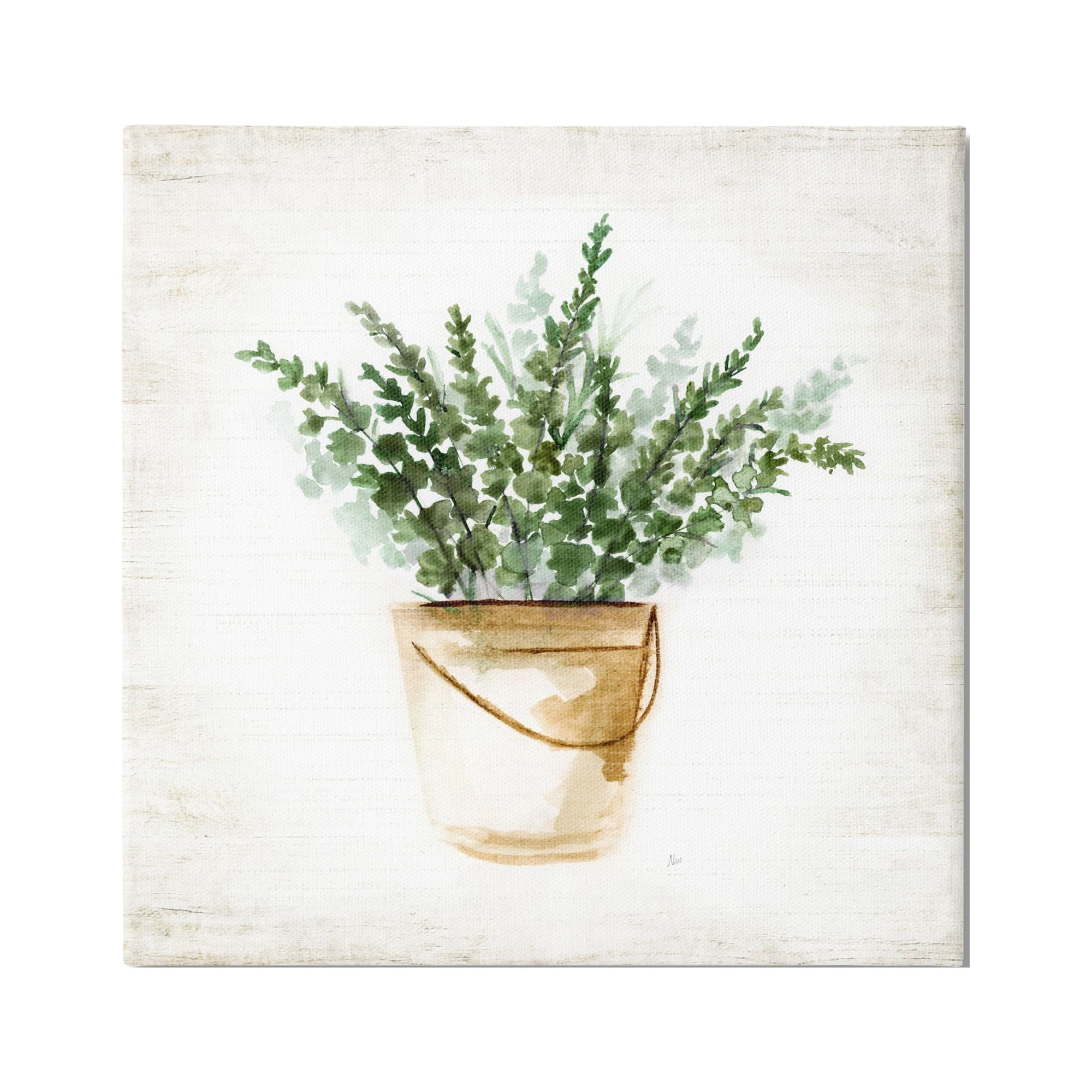 Stupell Industries Potted Eucalyptus Herb Botanical & Floral Painting Gallery Wrapped Canvas Art Print Wall Art, 24 x 24