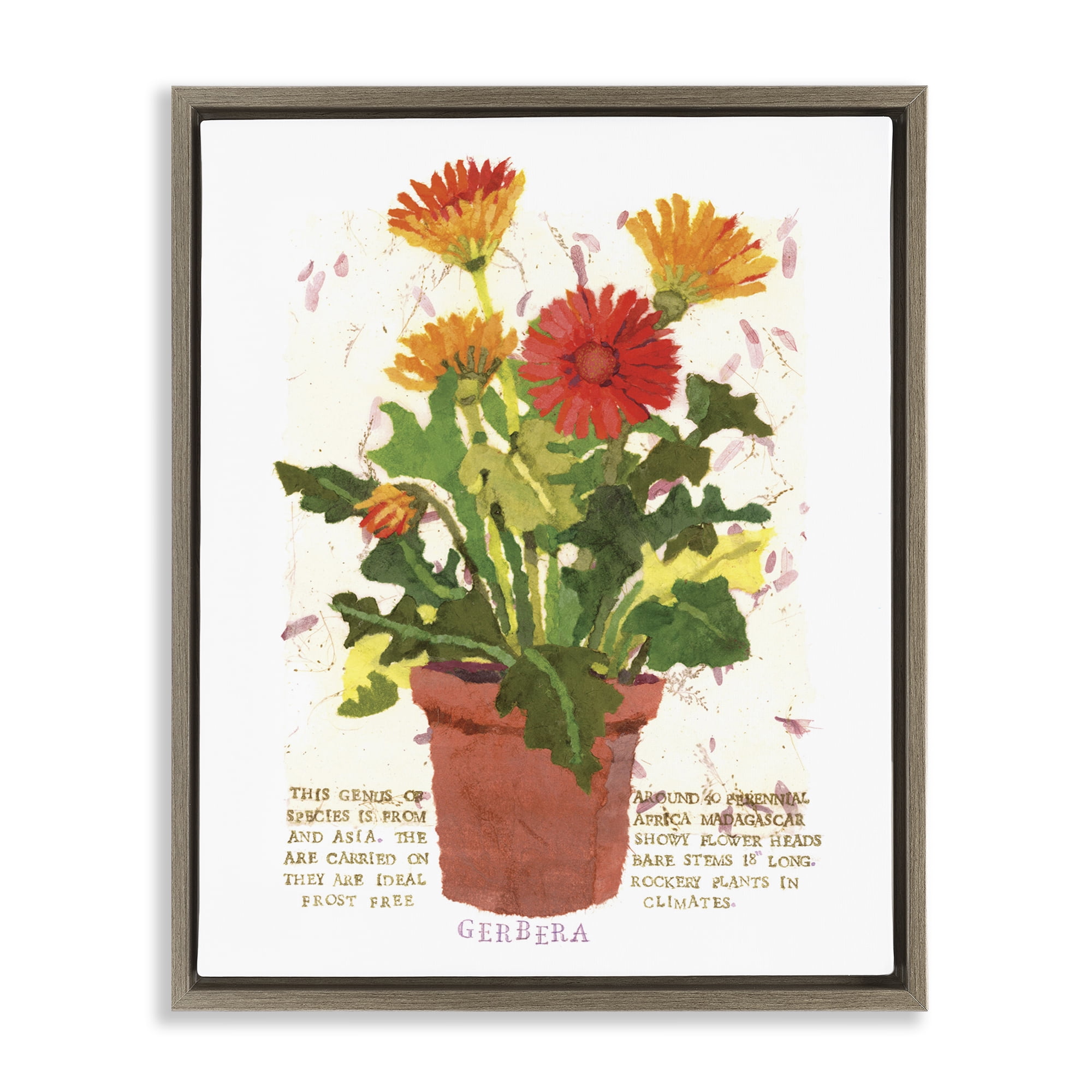Stupell Industries Potted Gerbera Daisies Botanical & Floral Painting Brown Floater Framed Art Print Wall Art, 17 x 21