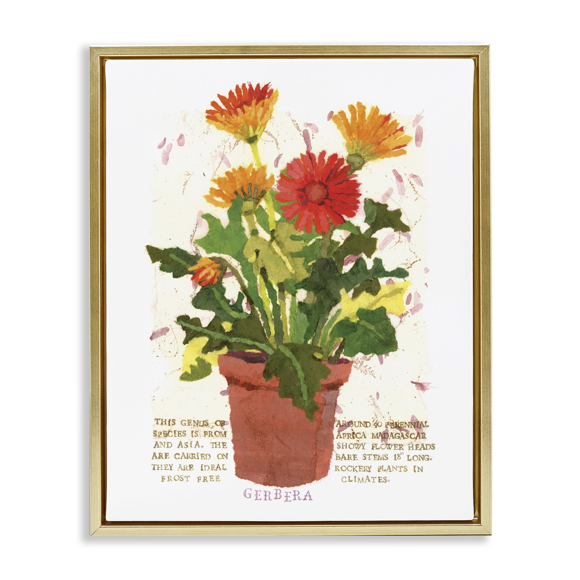 Stupell Industries Potted Gerbera Daisies Botanical & Floral Painting Gold Floater Framed Art Print Wall Art, 17 x 21