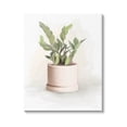 thumbnail image 1 of Stupell Industries Potted Herb Plant Minimal Gardening Graphic Art Gallery Wrapped Canvas Print Wall Art, Design by House Fenway, 1 of 7
