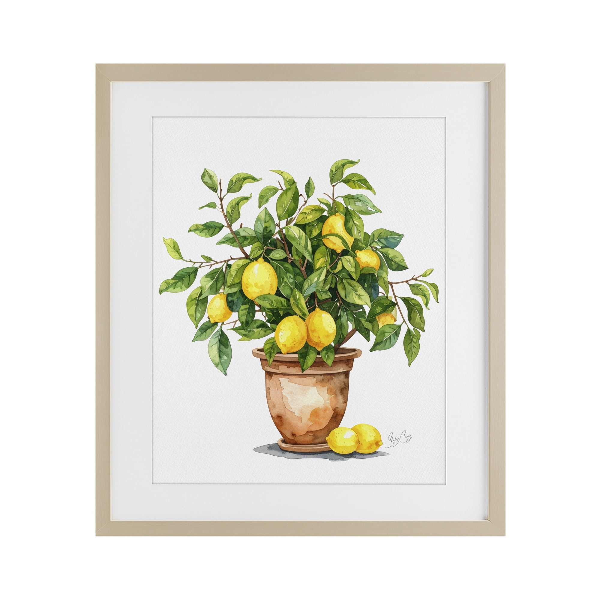 Stupell Industries Potted Lemon Tree Birch Framed Print Under Glass, design by Shelly Craig
