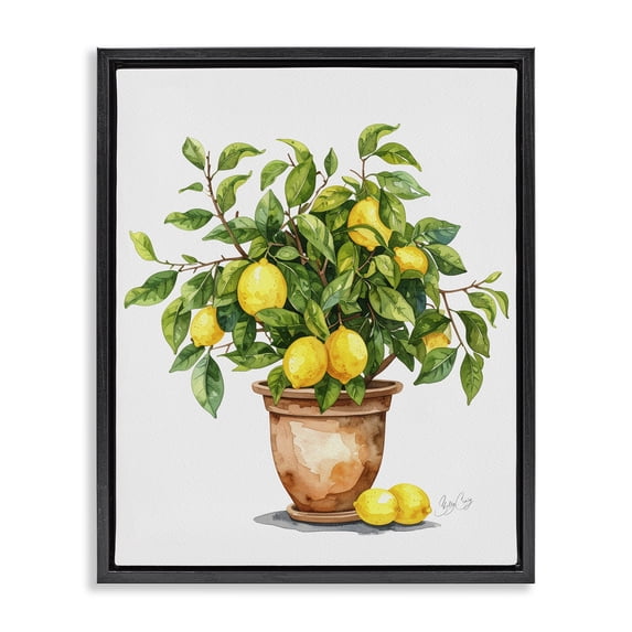 Stupell Industries Tropical Potted Lemon Tree Black Floating Frame Canvas Art, 17 x 21, by Shelly Craig