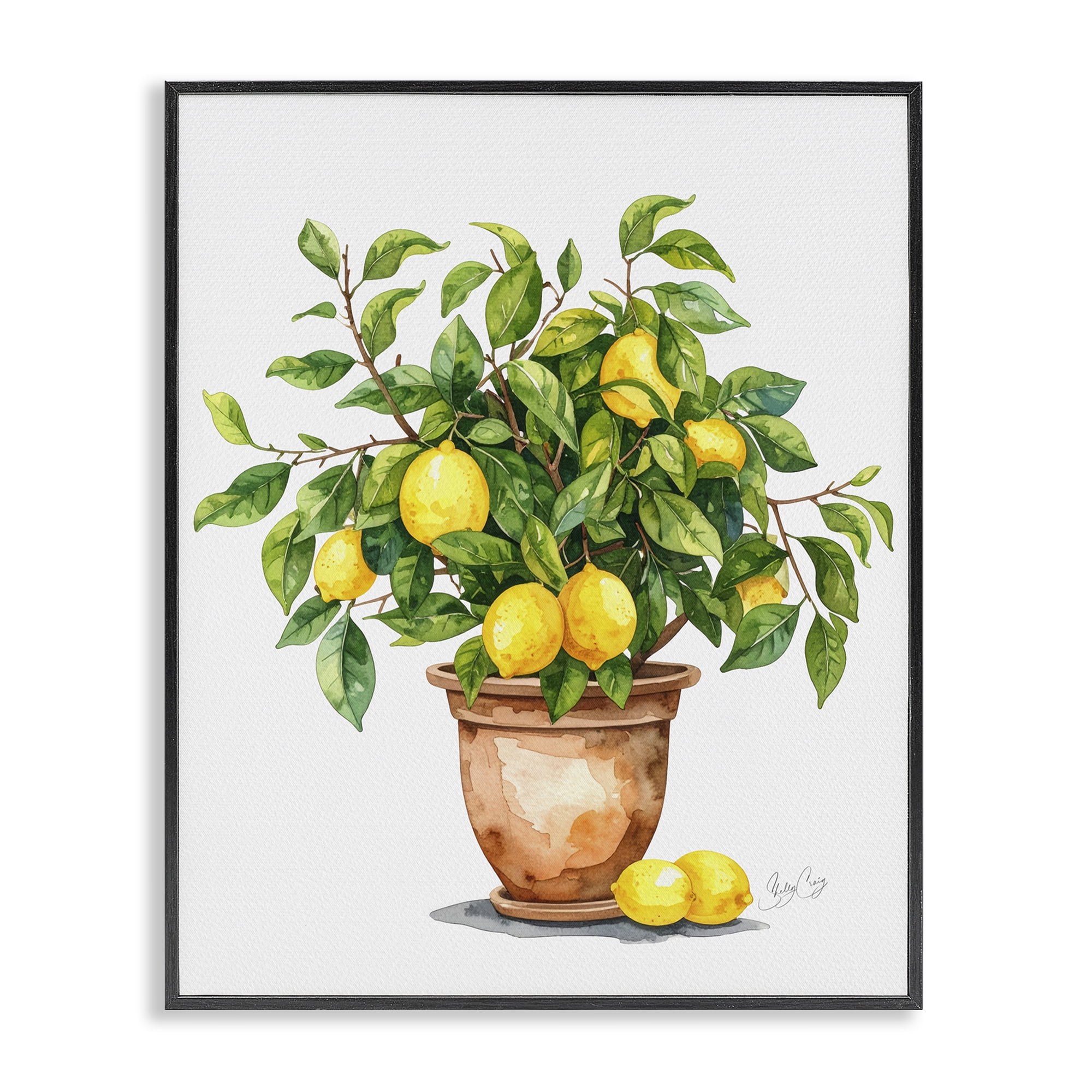 Stupell Industries Potted Lemon Tree Black Framed Giclee Art, design by Shelly Craig
