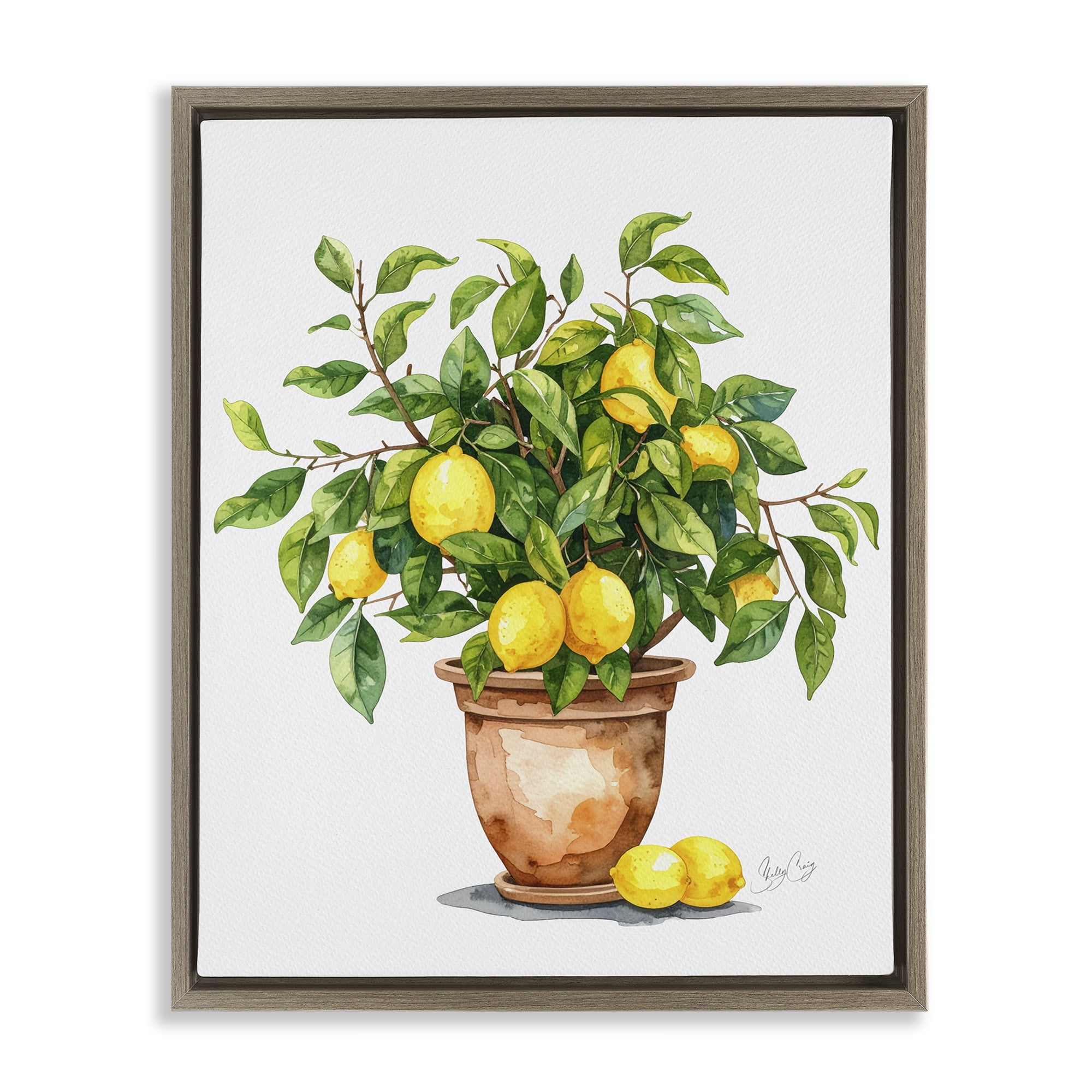 Stupell Industries Potted Lemon Tree Brown Framed Floater Canvas Wall Art, design by Shelly Craig