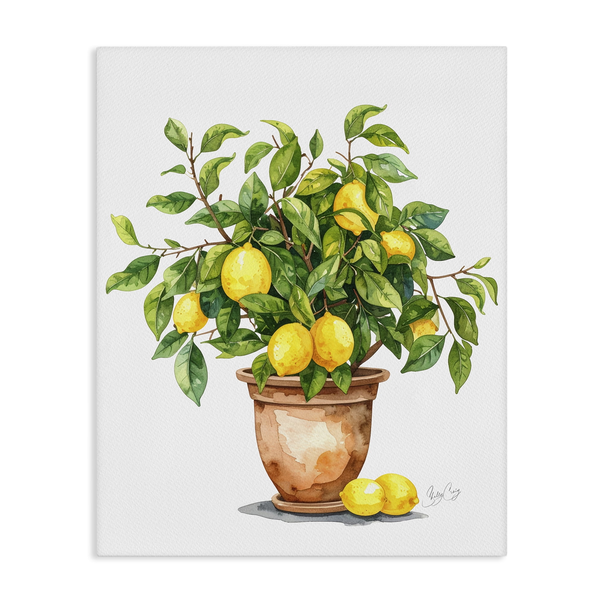 Stupell Industries Potted Lemon Tree Canvas Wall Art, design by Shelly Craig