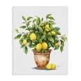 thumbnail image 1 of Stupell Industries Tropical Potted Lemon Tree Canvas Art, 16 x 20, by Shelly Craig, 1 of 8