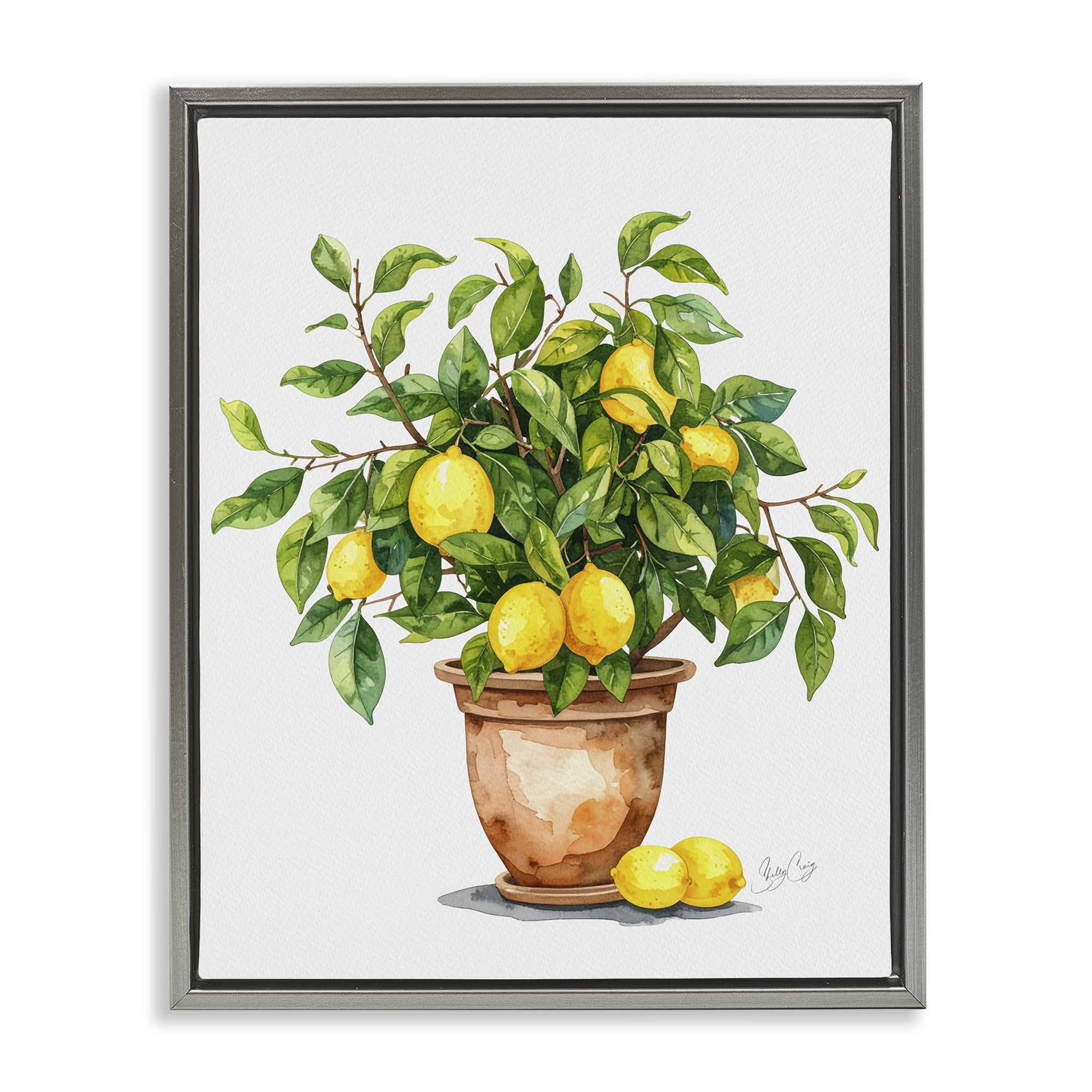 Stupell Industries Potted Lemon Tree Gray Framed Floater Canvas Wall Art, design by Shelly Craig