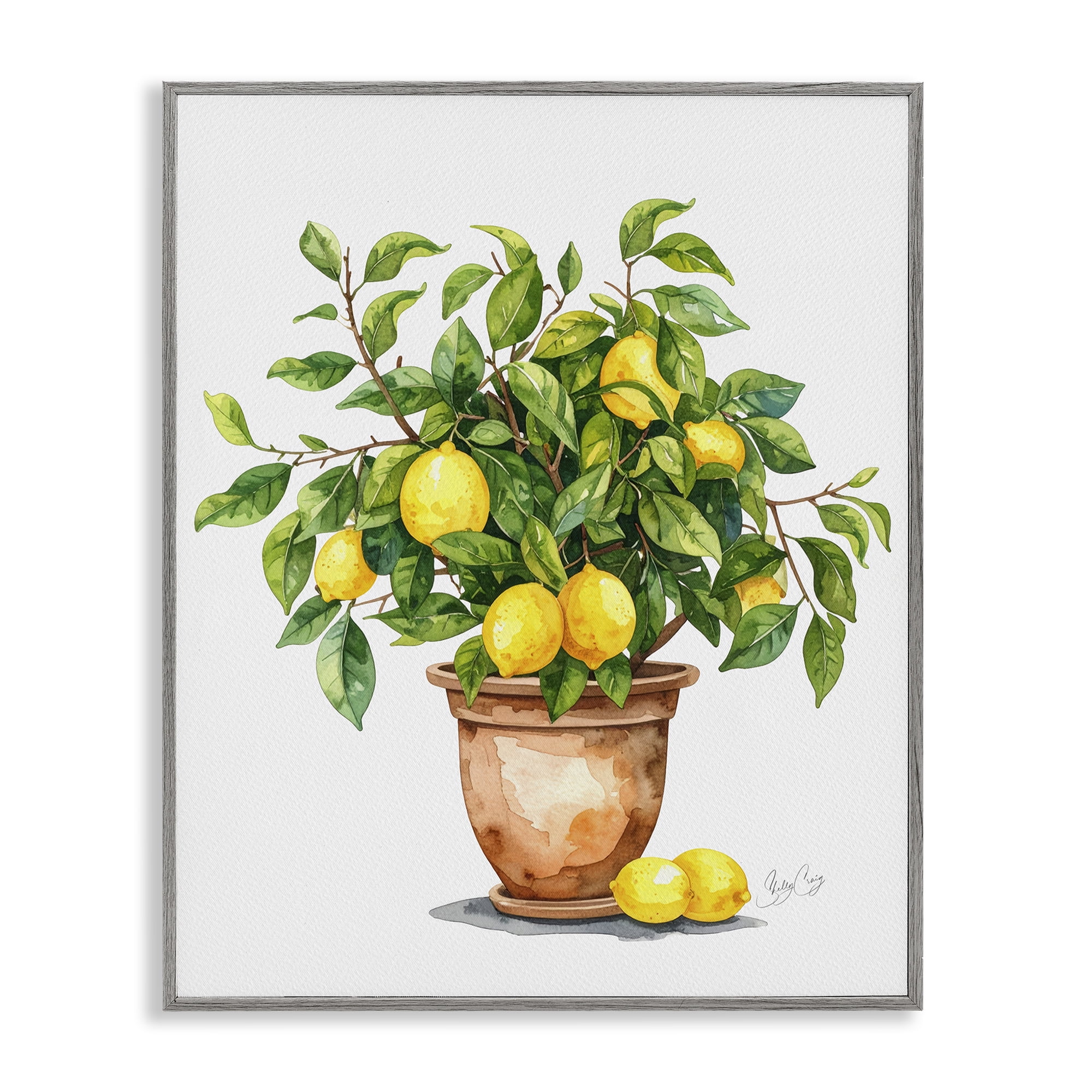 Stupell Industries Potted Lemon Tree Gray Framed Giclee Art, design by Shelly Craig