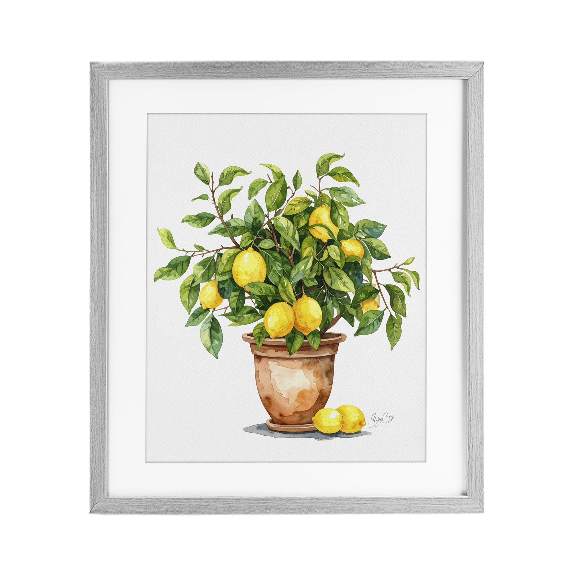 Stupell Industries Potted Lemon Tree Gray Framed Print Under Glass, design by Shelly Craig