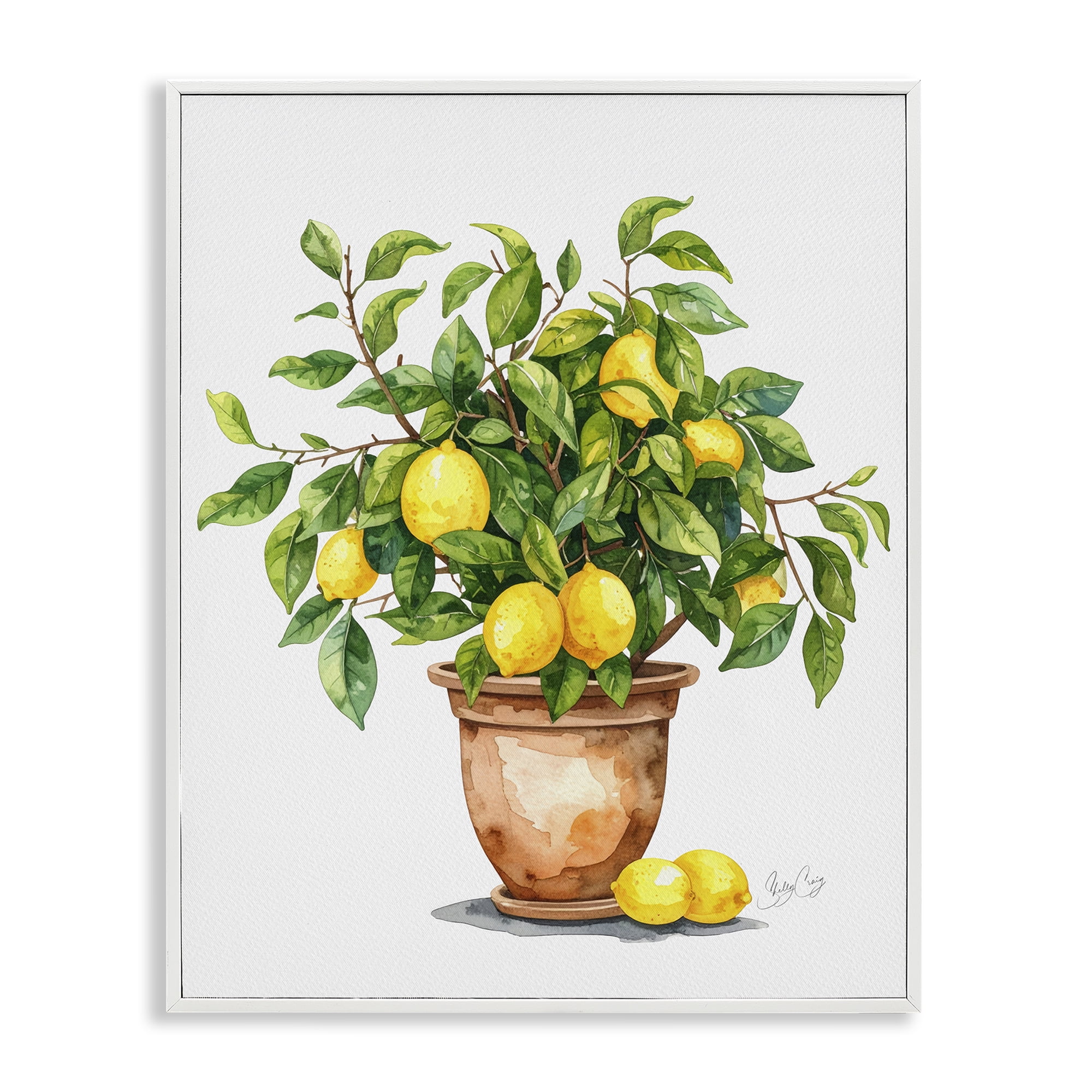 Stupell Industries Potted Lemon Tree White Framed Giclee Art, design by Shelly Craig