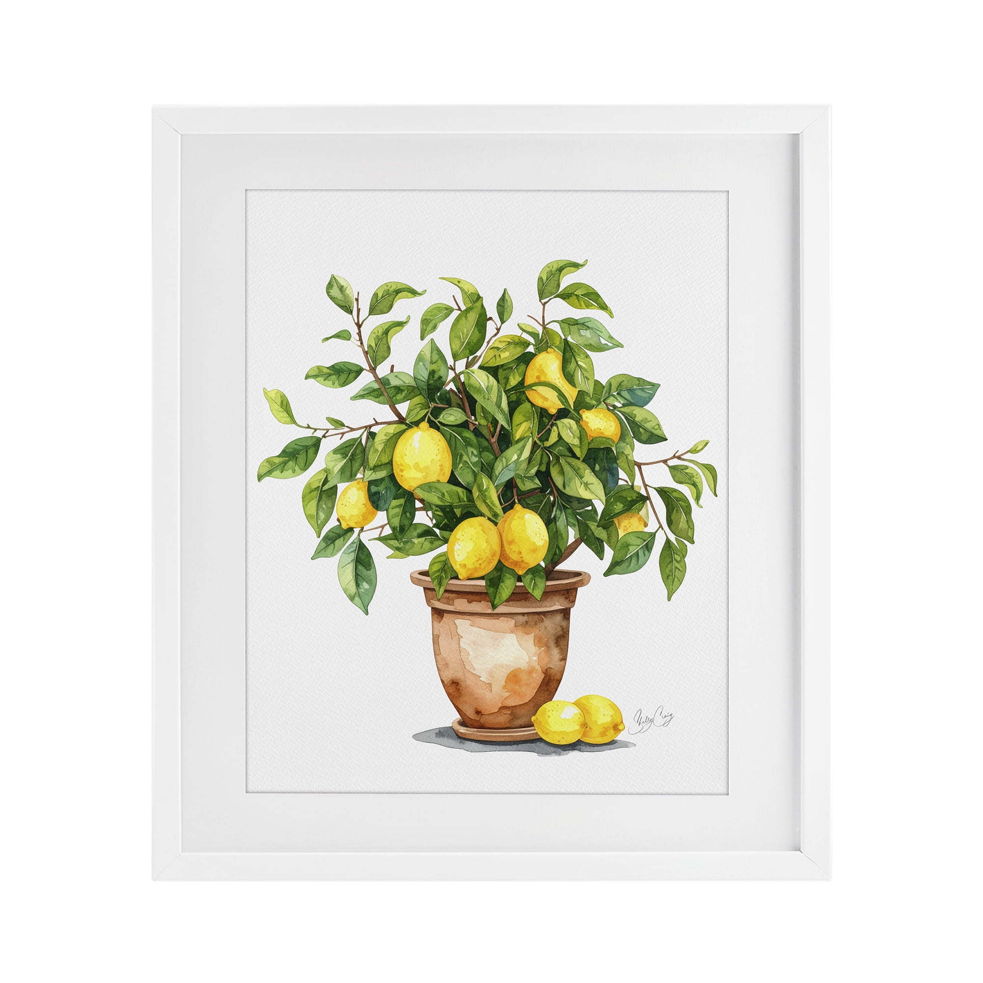 Stupell Industries Potted Lemon Tree White Framed Print Under Glass, design by Shelly Craig