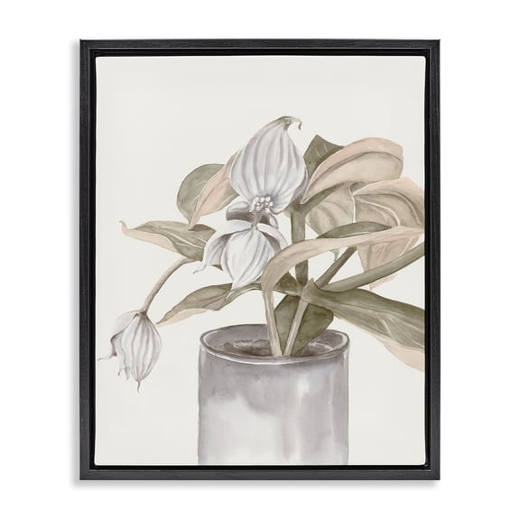 Stupell Industries Potted Medinilla Magnifica Black Framed Floater Canvas Wall Art design by Errico & Slyp, 31 x 25