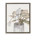 thumbnail image 1 of Stupell Industries Potted Medinilla Magnifica Brown Framed Floater Canvas Wall Art design by Errico & Slyp, 21 x 17, 1 of 9