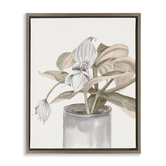 Stupell Industries Potted Medinilla Magnifica Brown Framed Floater Canvas Wall Art design by Errico & Slyp, 21 x 17