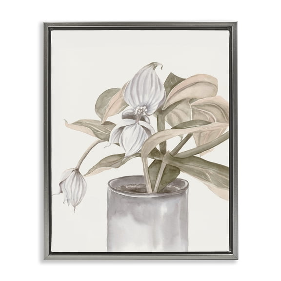 Stupell Industries Potted Medinilla Magnifica Gray Framed Floater Canvas Wall Art design by Errico & Slyp, 21 x 17