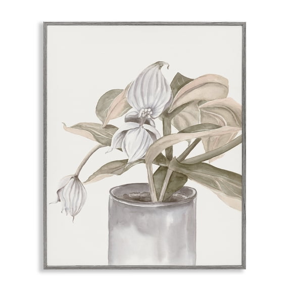 Stupell Industries Potted Medinilla Magnifica Gray Framed Giclee Art design by Errico & Slyp, 14 x 11