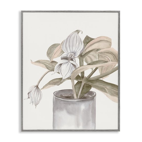 Stupell Industries Potted Medinilla Magnifica Gray Framed Giclee Art design by Errico & Slyp, 30 x 24