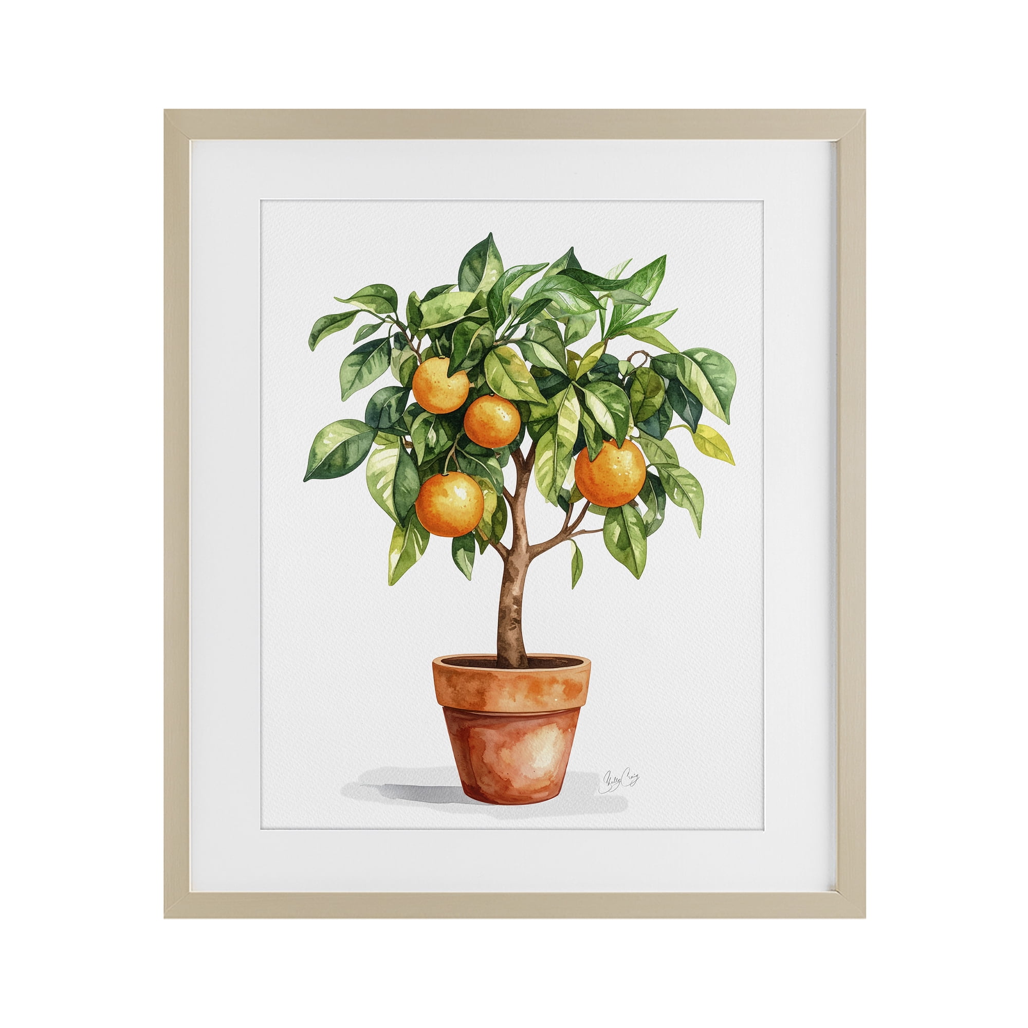Stupell Industries Potted Orange Tree Birch Framed Print Under Glass, design by Shelly Craig