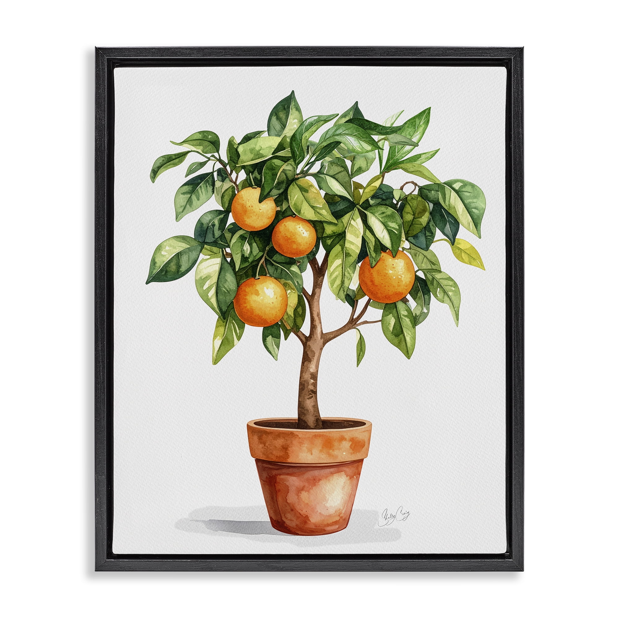 Stupell Industries Potted Orange Tree Black Framed Floater Canvas Wall Art, design by Shelly Craig