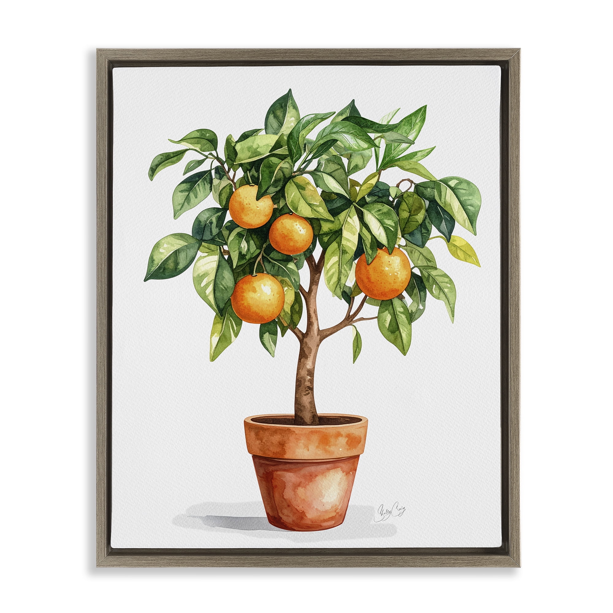 Stupell Industries Potted Orange Tree Brown Framed Floater Canvas Wall Art, design by Shelly Craig