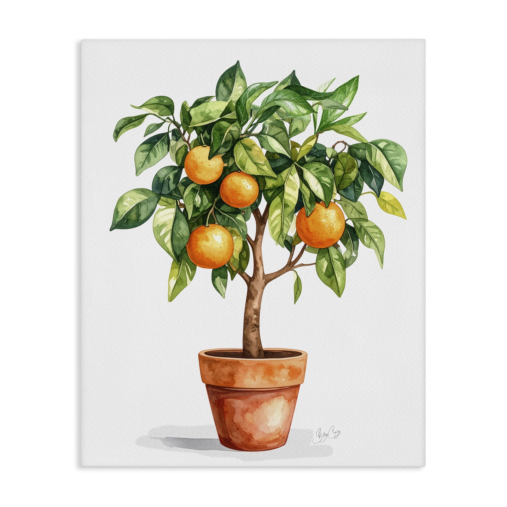 Stupell Industries Potted Orange Tree Canvas Wall Art, design by Shelly Craig