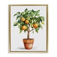 thumbnail image 1 of Stupell Industries Cottage Potted Orange Tree Gold Floating Frame Canvas Art, 17 x 21, by Shelly Craig, 1 of 8