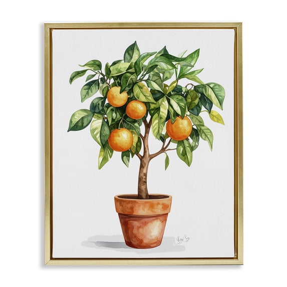 Stupell Industries Cottage Potted Orange Tree Gold Floating Frame Canvas Art, 17 x 21, by Shelly Craig