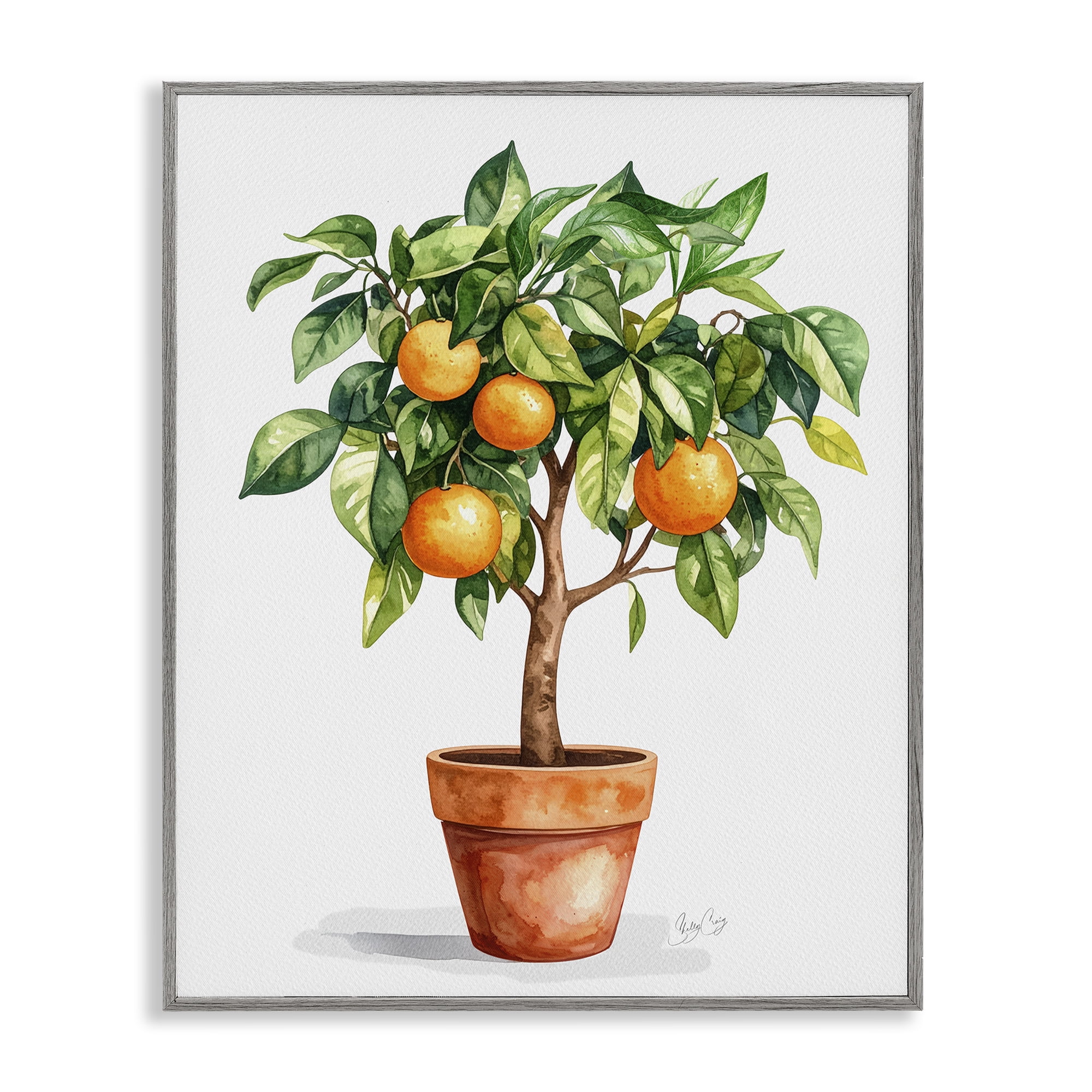 Stupell Industries Potted Orange Tree Gray Framed Giclee Art, design by Shelly Craig