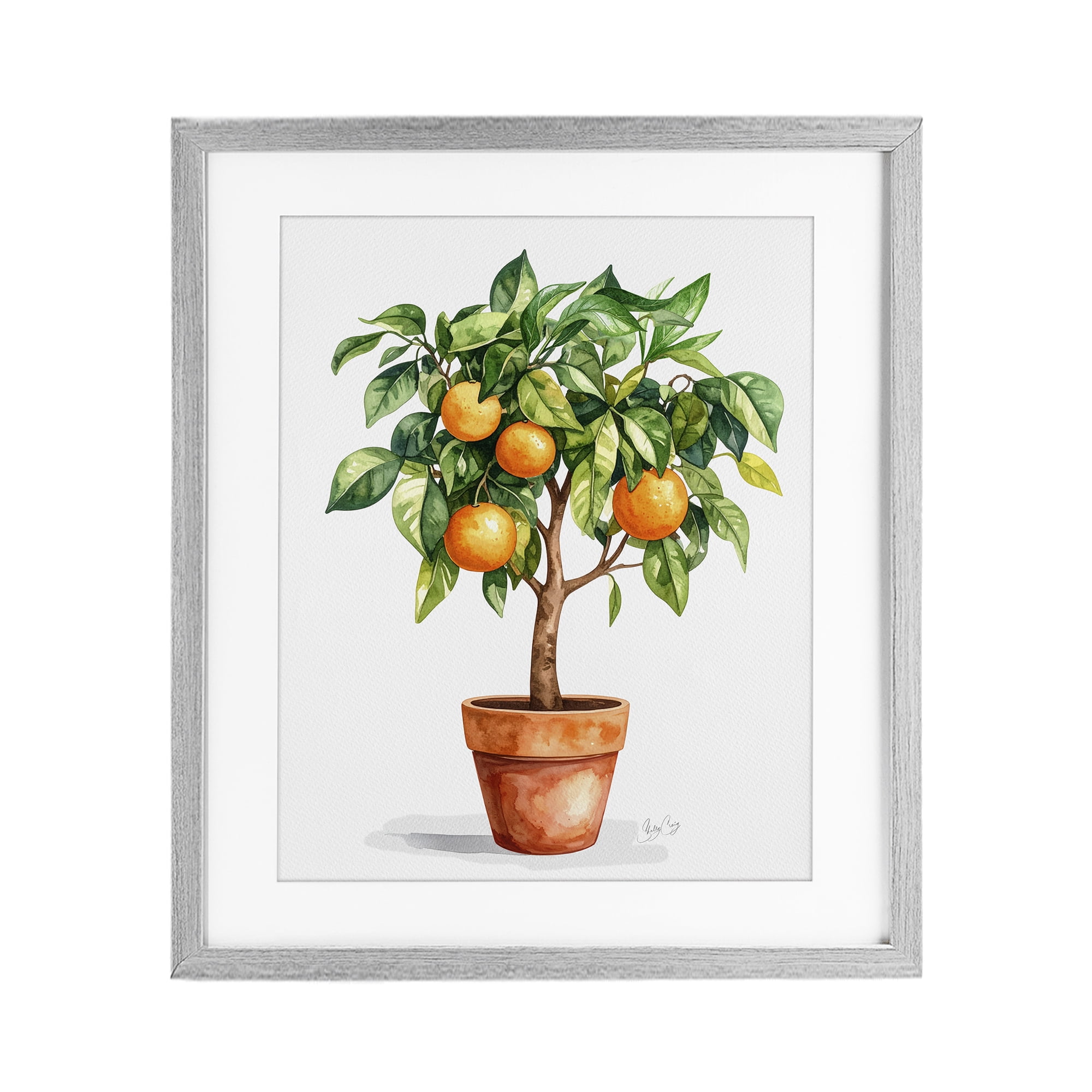 Stupell Industries Potted Orange Tree Gray Framed Print Under Glass, design by Shelly Craig