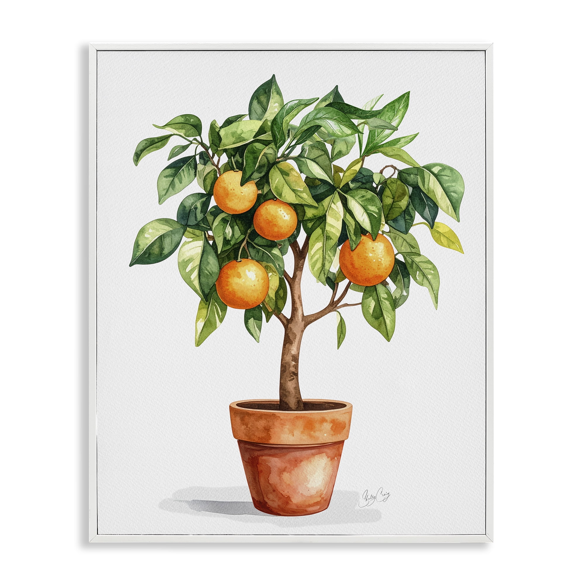 Stupell Industries Potted Orange Tree White Framed Giclee Art, design by Shelly Craig