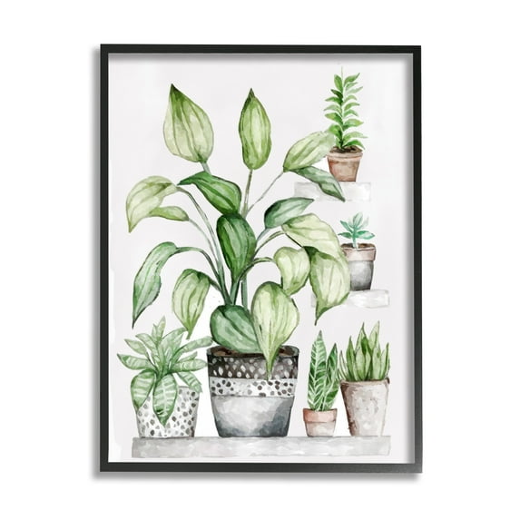 Stupell Industries Potted Plant Garden Botanicals Botanical & Floral Painting Black Framed Art Print Wall Art