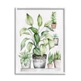 thumbnail image 1 of Stupell Industries Potted Plant Garden Botanicals Botanical & Floral Painting White Framed Art Print Wall Art, 1 of 5