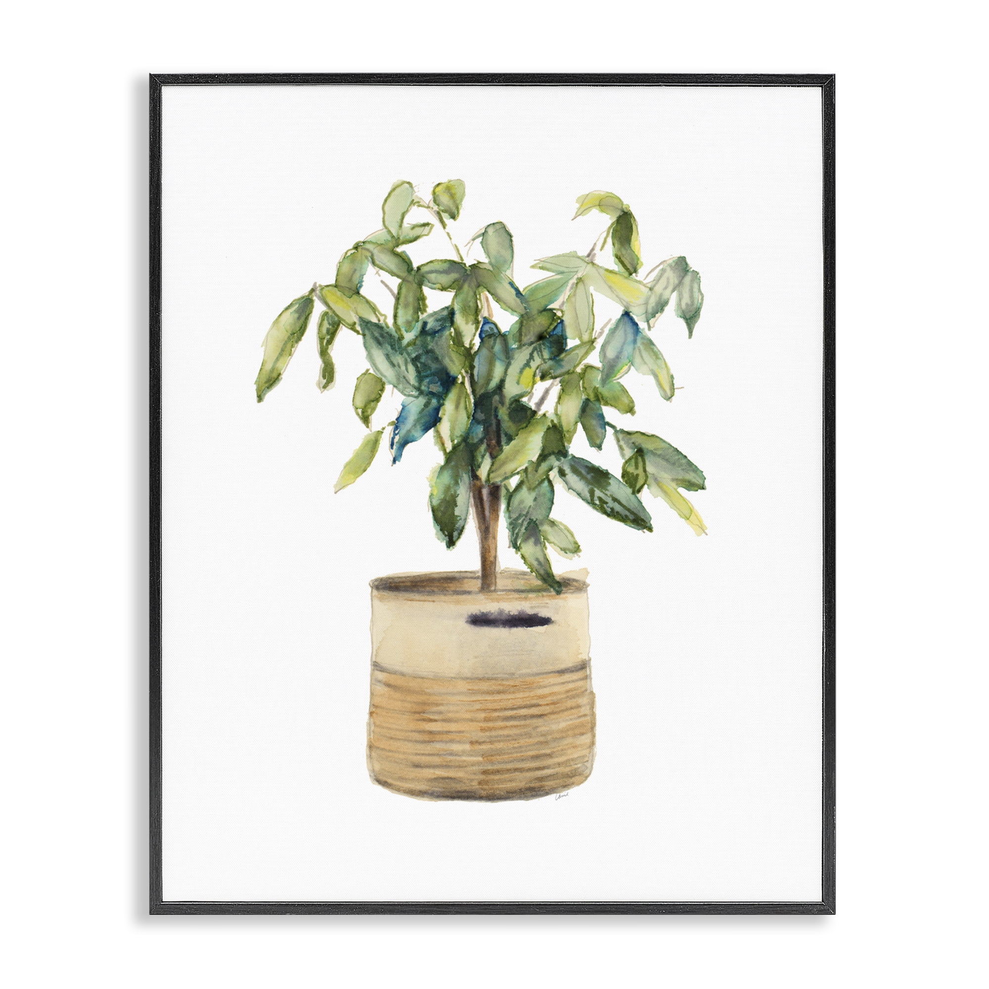 Stupell Industries Potted Plant Greenery Botanical & Floral Painting Black Framed Art Print Wall Art, 11 x 14