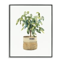 Stupell Industries Potted Plant Greenery Botanical & Floral Painting Black Framed Art Print Wall Art, 11 x 14