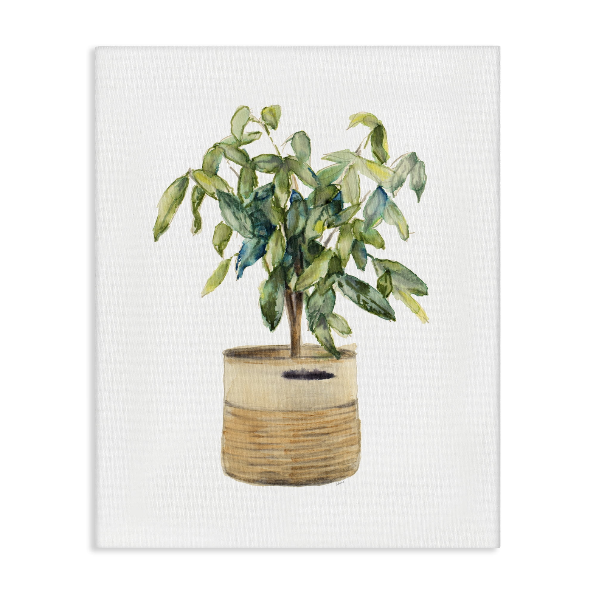 Stupell Industries Potted Plant Greenery Botanical & Floral Painting Gallery Wrapped Canvas Art Print Wall Art, 36 x 48