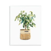 Stupell Industries Potted Plant Greenery Botanical & Floral Painting Unframed Art Print Wall Art, 11 x 14