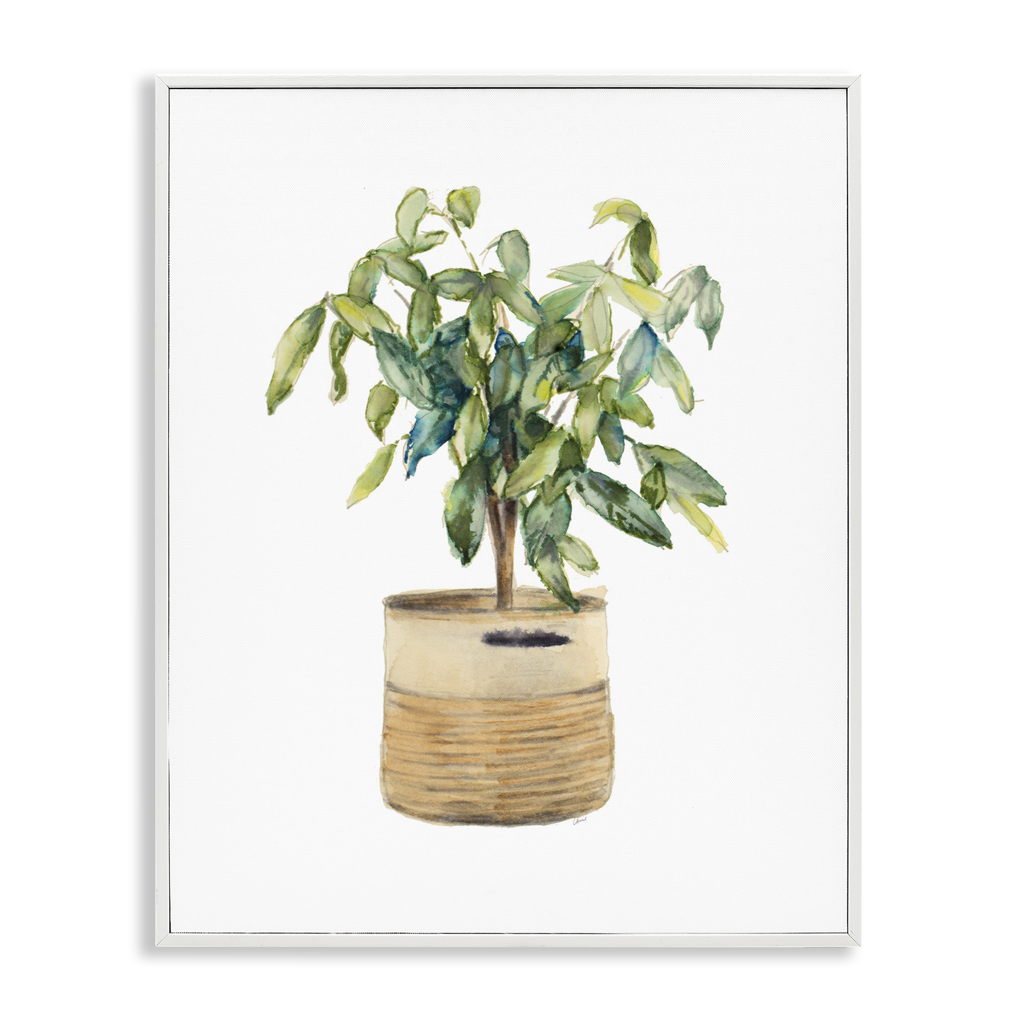 Stupell Industries Potted Plant Greenery Botanical & Floral Painting White Framed Art Print Wall Art, 16 x 20
