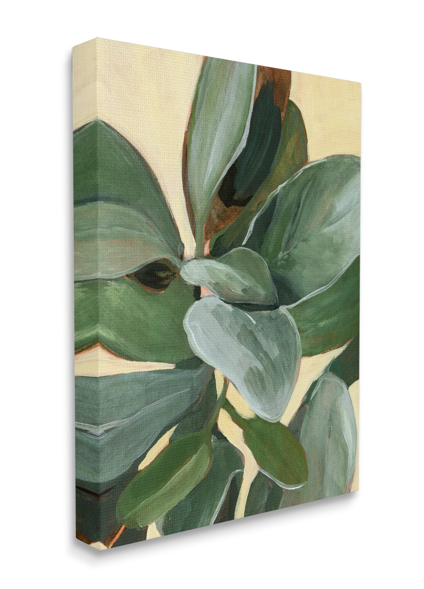 Stupell Industries Potted Plant Study Full Green Leaves Canvas Wall Art, 30 x 40, Design by Annie Warren