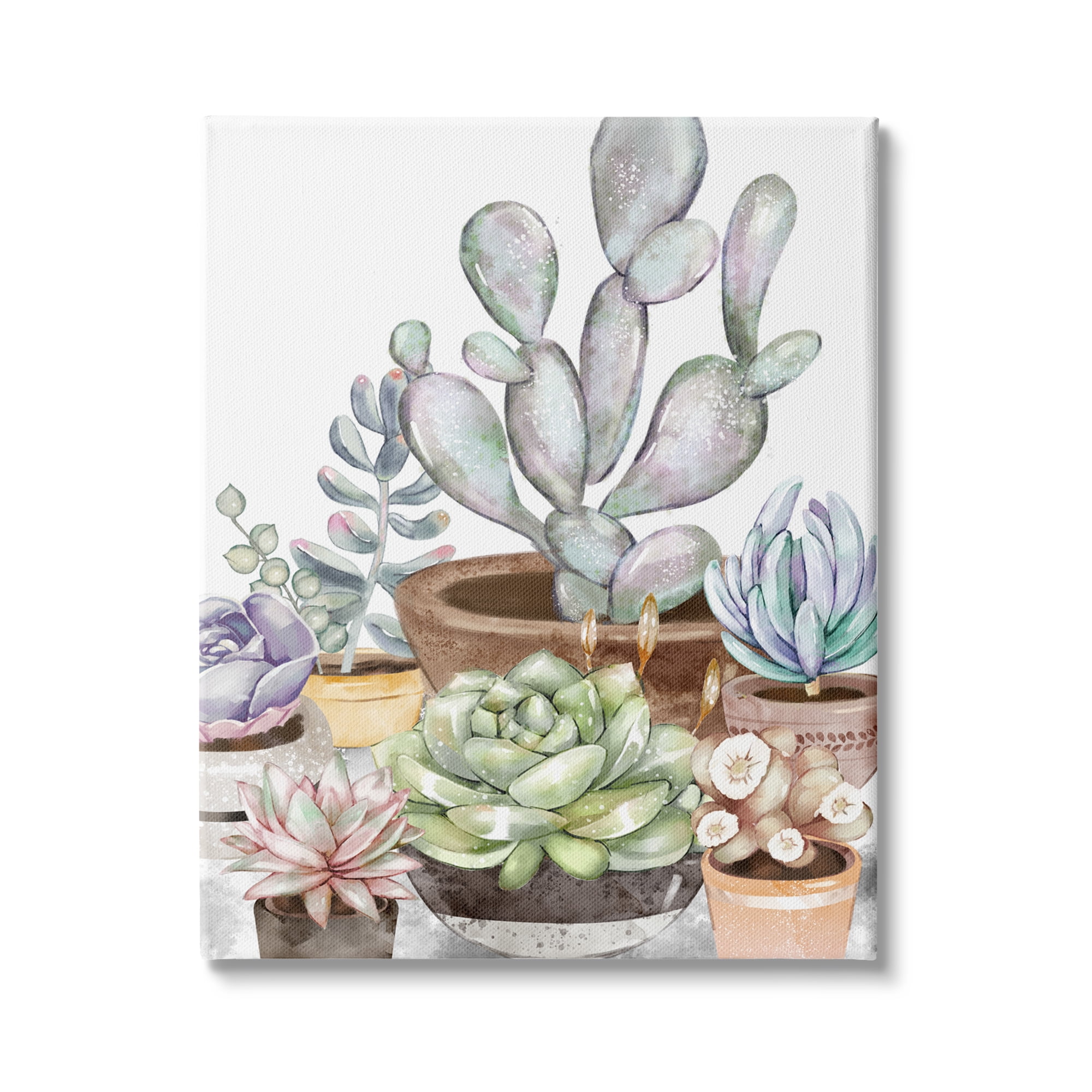 Stupell Industries Potted Succulent Modern Living Room Still life Plants, 16 x 20, Design by Ziwei Li