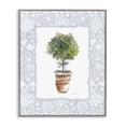 thumbnail image 1 of Stupell Industries Traditional Potted Topiary in Terracotta Gray Framed Giclee Art, 11 x 14, by Carol Robinson, 1 of 8