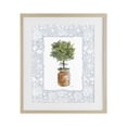thumbnail image 1 of Stupell Industries Traditional Potted Topiary with Ribbon Birch Framed Print Under Glass, 17 x 21, by Carol Robinson, 1 of 8